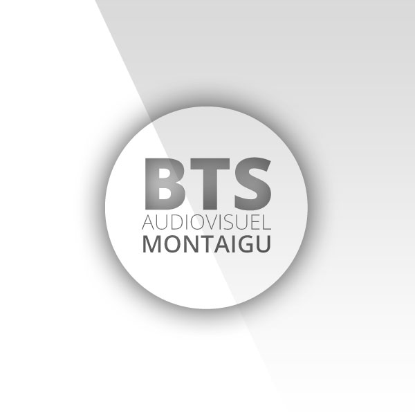 BTS Audiovisuel Montaigu